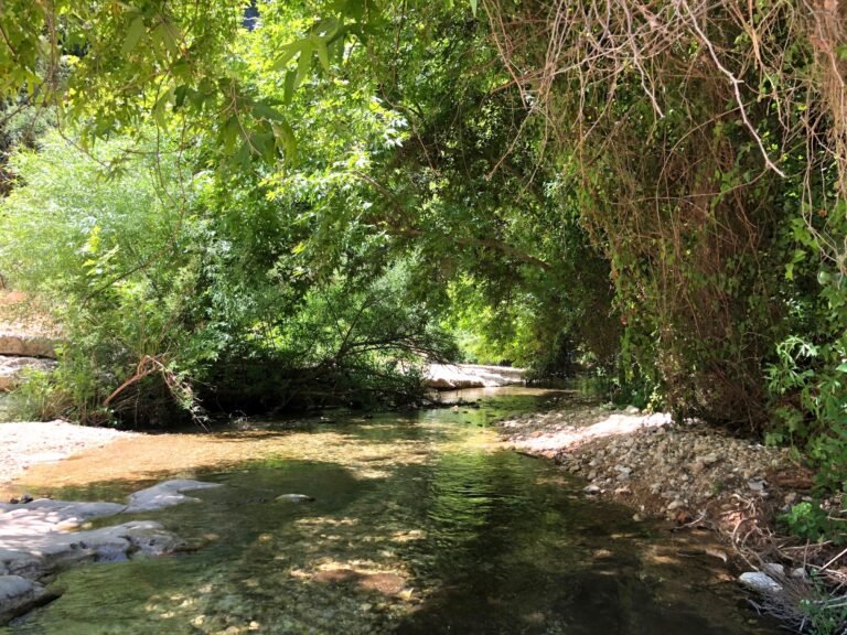 גליל ווייבז המלצות- נחל כזיב